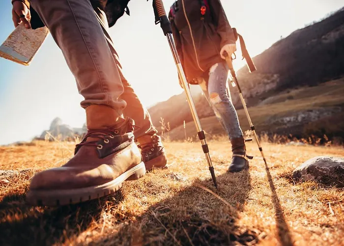 Appartement Azalea - *